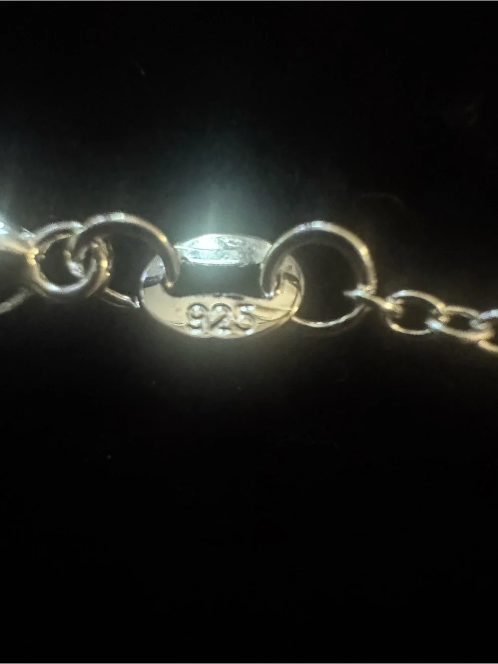 UpCycled Coach Stripped Legacy Charm One 925 Chain